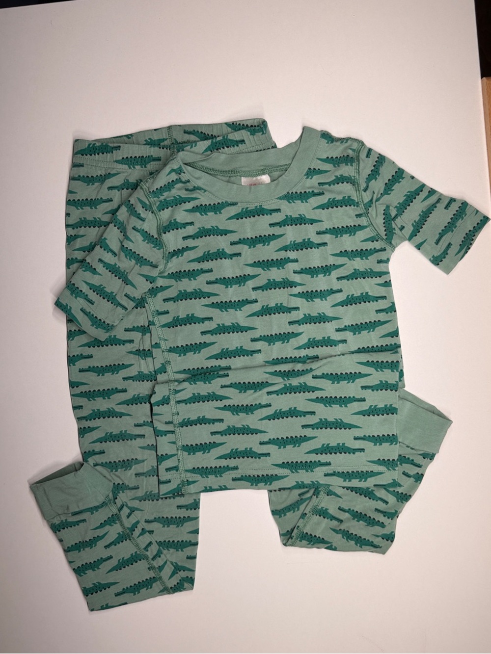 Hanna Andersson Green Alligator Pajama Set